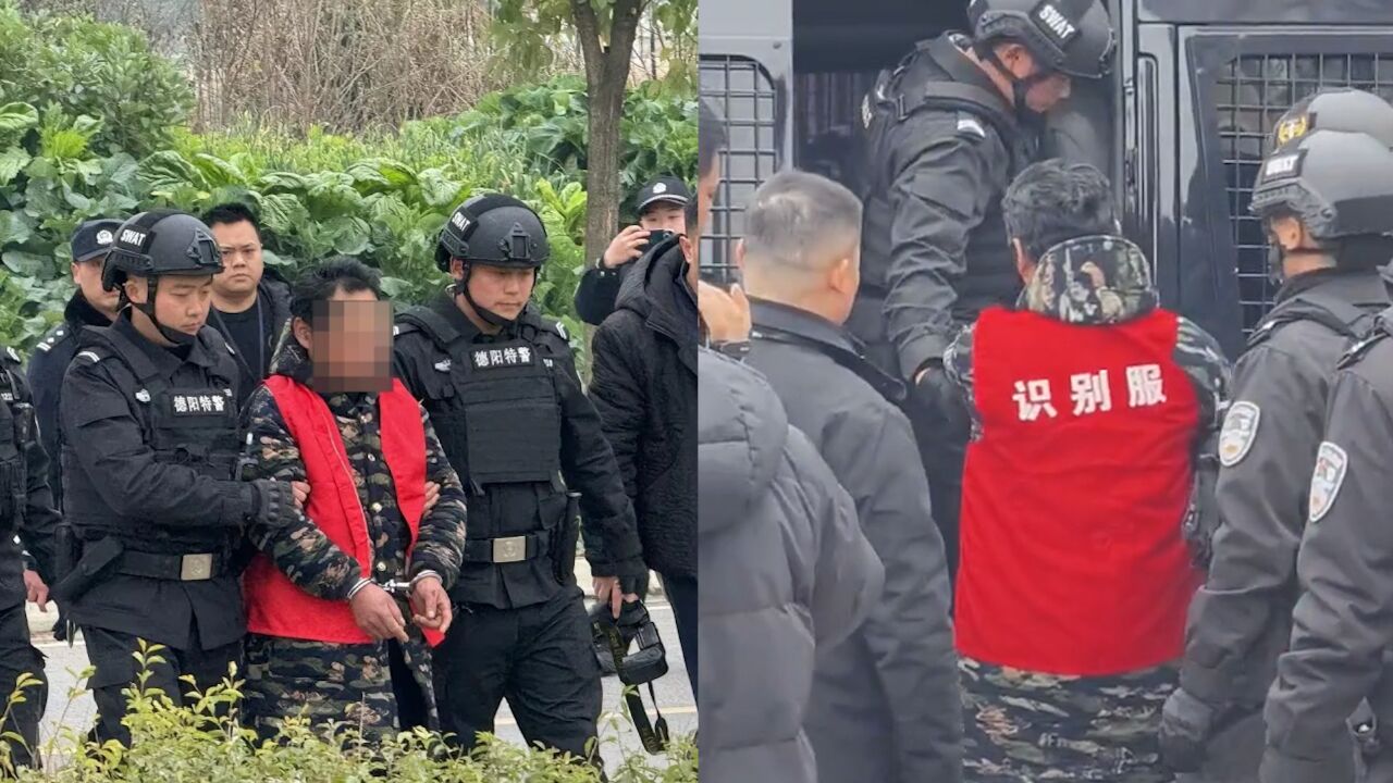 涉嫌杀害前妻嫌犯李小龙落网,山上潜藏一夜下山被发现,佯装打电话被抓