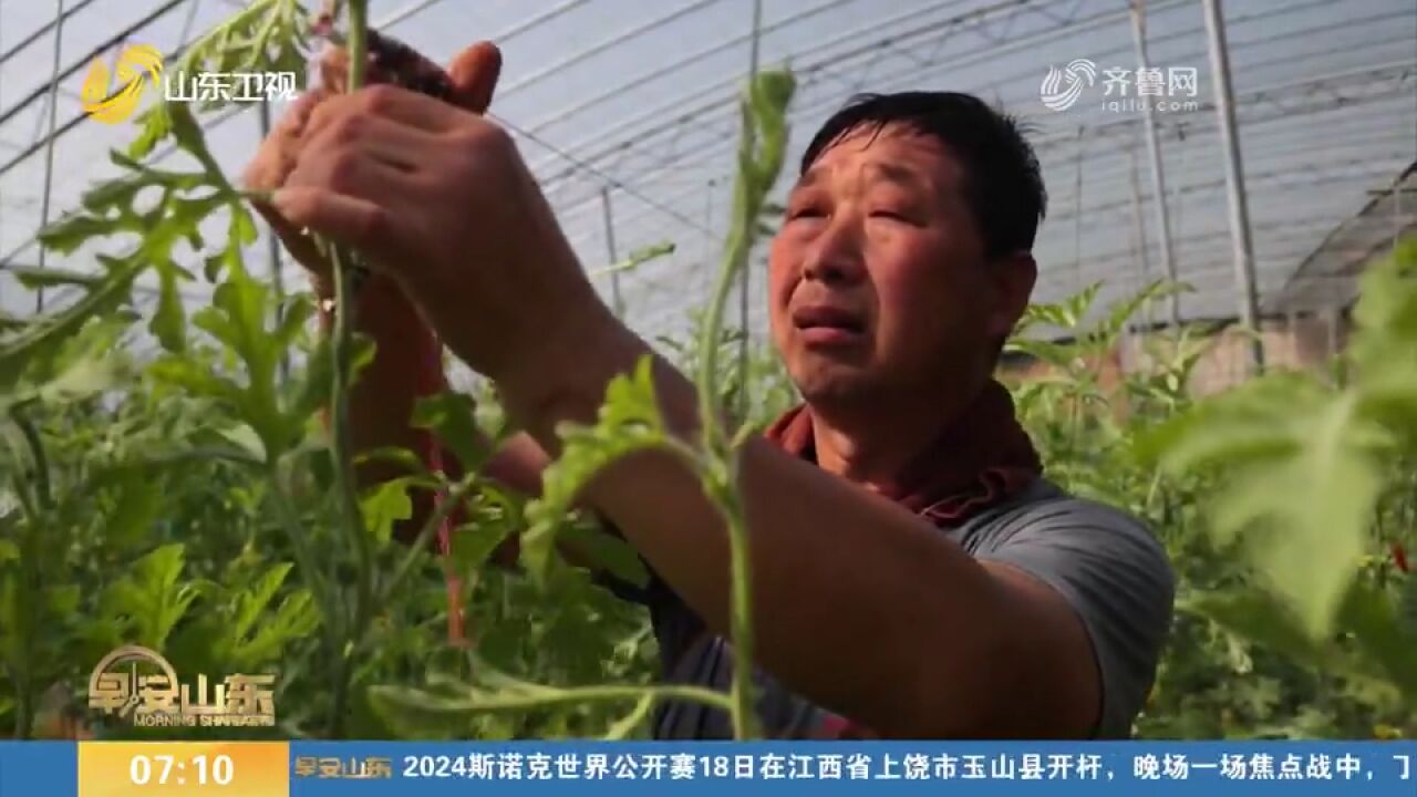 春耕春种关键时期,山东各地一片忙碌景象,农户们抢抓农事耕种忙