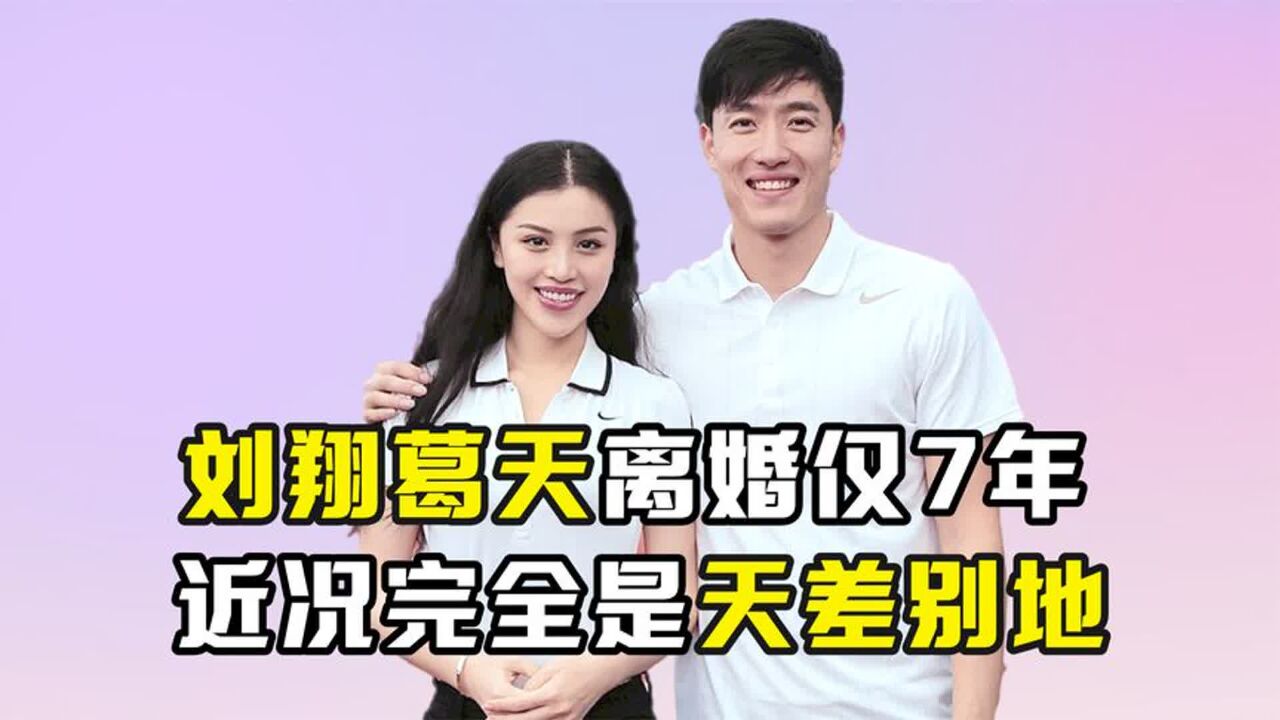 离婚仅7年后,刘翔与葛天的近况,完全是一个天上一个地下