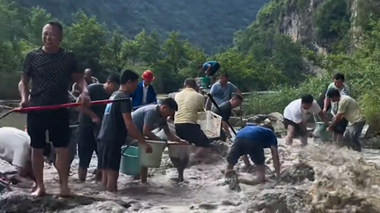 水库防洪清库放水,多人带装备大捞特捞!最多捞了一百多斤