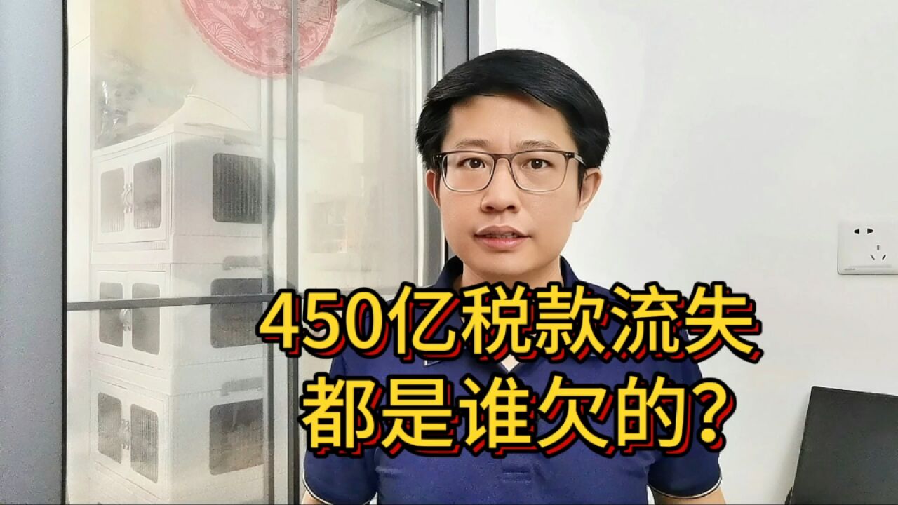 近450亿税款流失,查税力度加大,个人也逃不过?