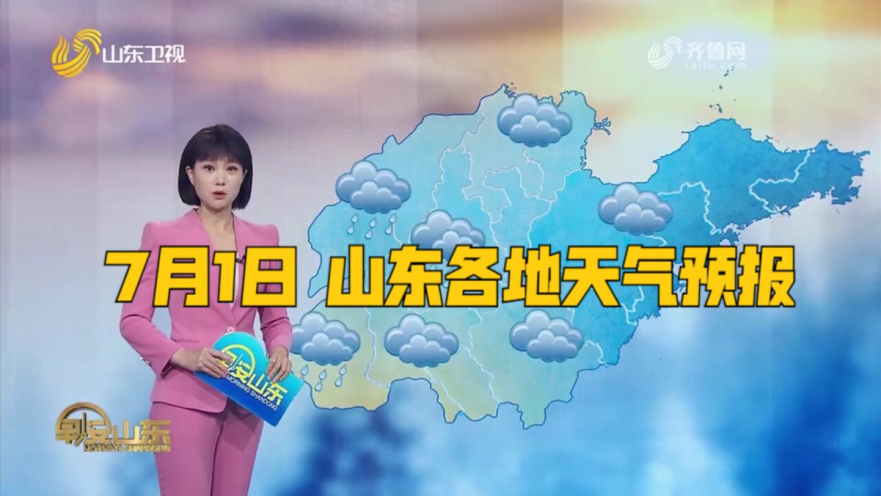 山东全省天气阴,菏泽、济宁、鲁西北、鲁中地区有中雨,局部大雨