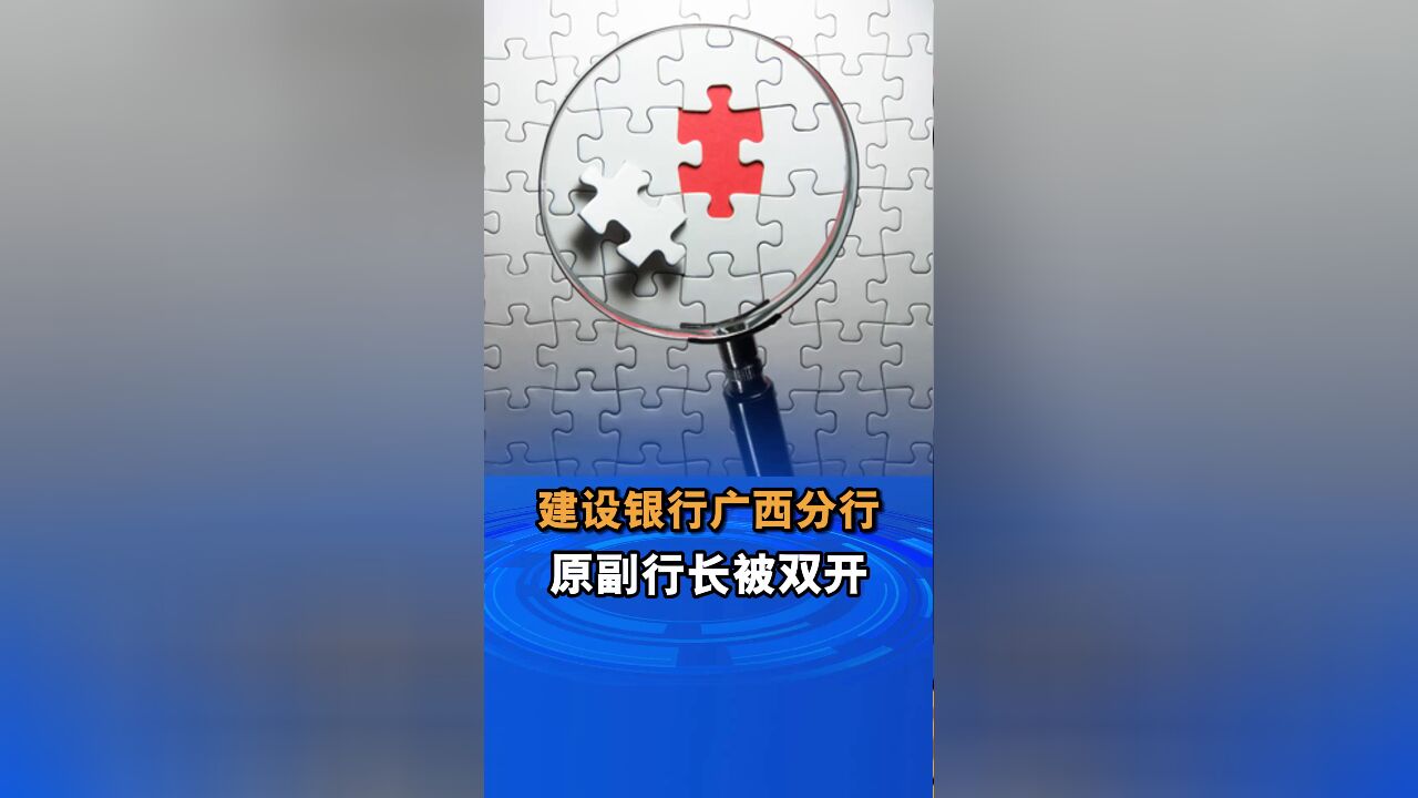 建设银行广西分行原副行长被双开