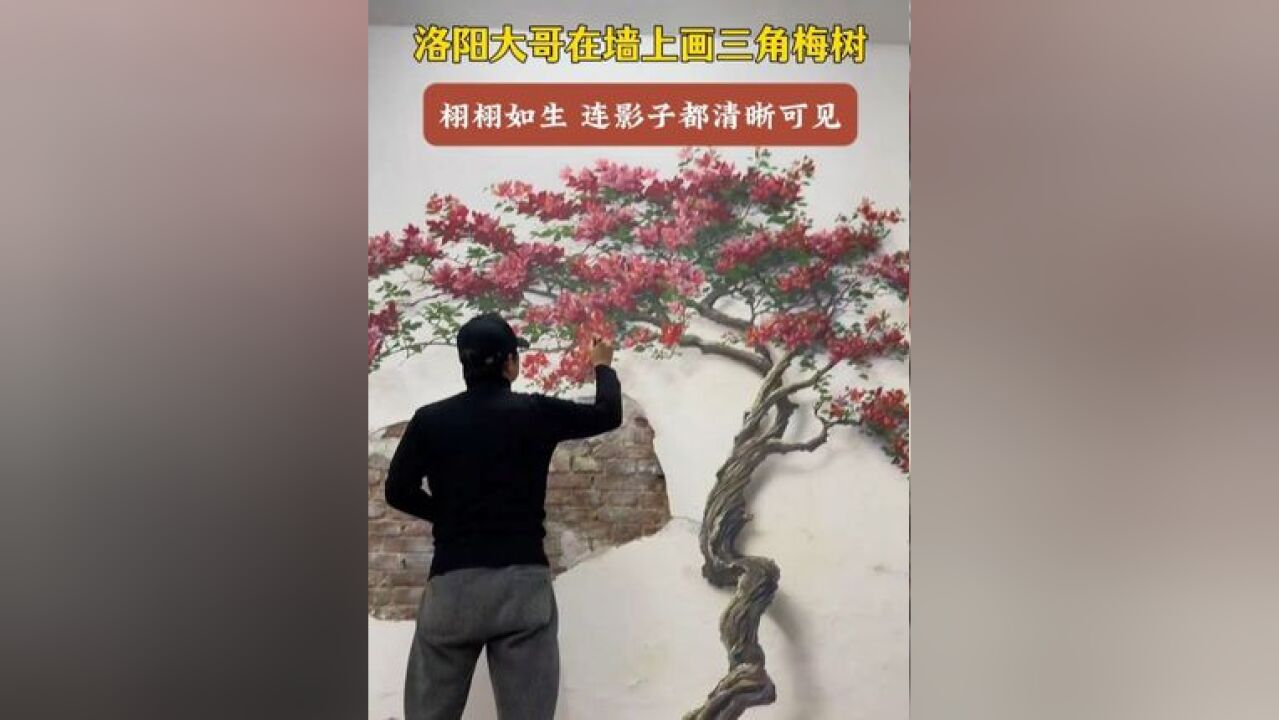 洛阳一大哥在墙上画三角梅树,连花枝的影子都清晰可见,栩栩如生!