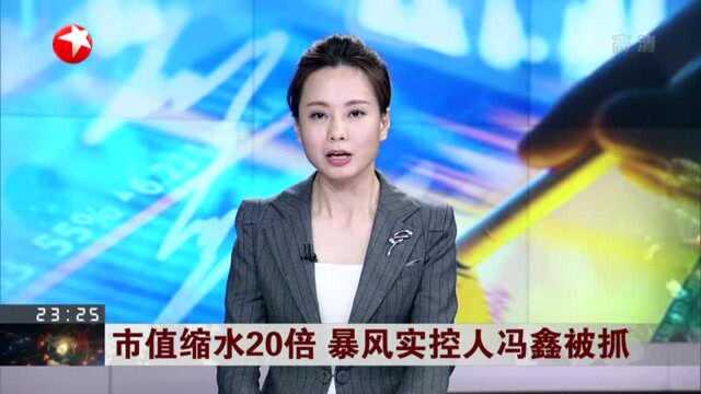 市值缩水20倍 暴风实控人冯鑫被抓