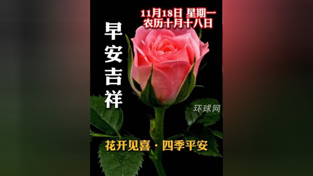 早安!花开见喜,四季平安.农历十月十八,祝愿您和家人喜乐安康,事事顺意!