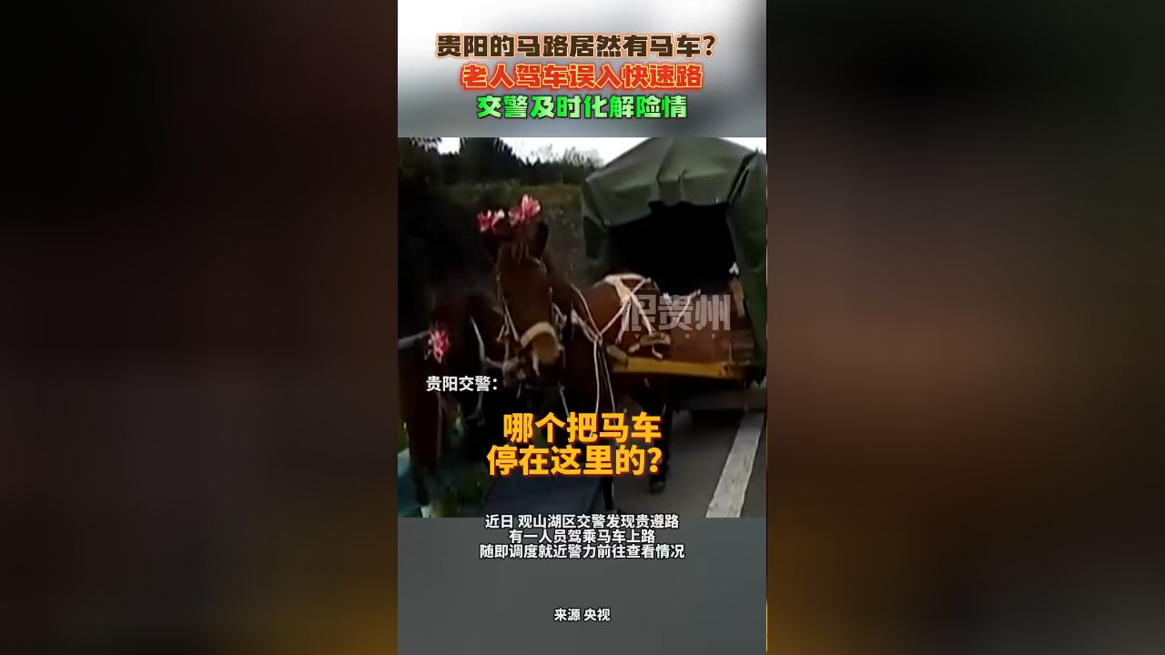 贵阳的马路居然有马车?老人驾车误入快速路,交警及时化解险情