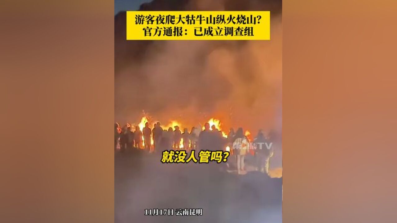 游客夜爬大牯牛山纵火烧山?11月18日,官方通报:已成立联合调查组,迅速启动相关调查核实工作.