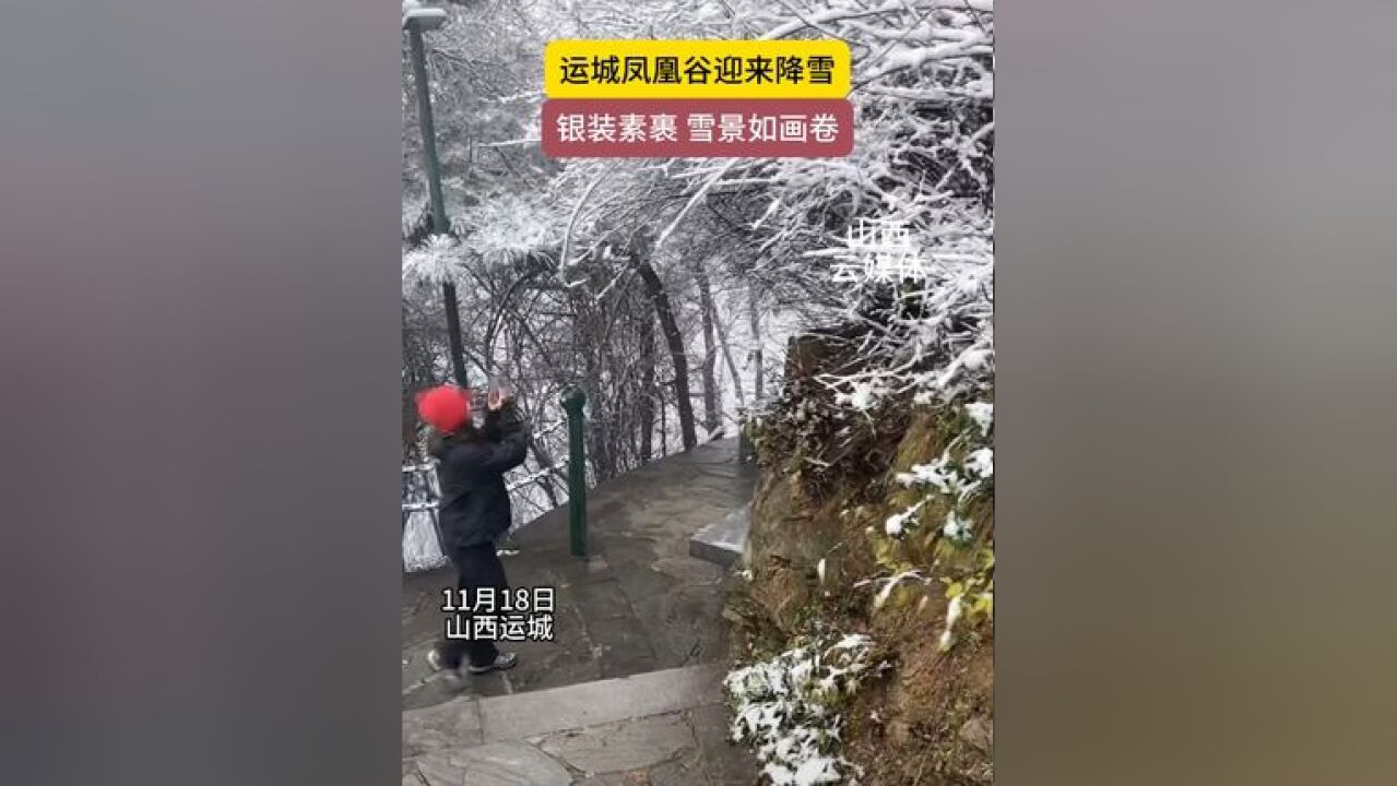 山西运城凤凰谷迎来降雪,雪景如画卷