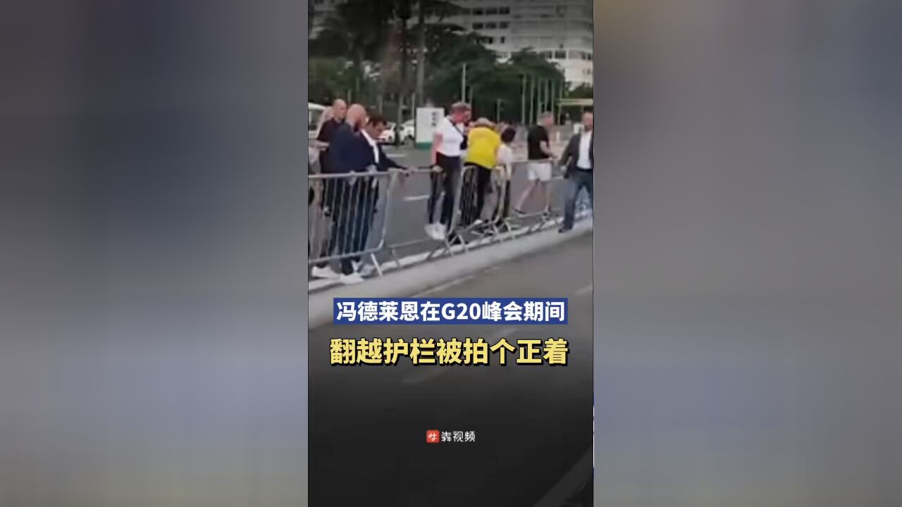 里约热内卢G20峰会期间,欧盟委员会主席冯德莱恩被拍到在翻越围栏,扎哈罗娃:人们看到了她在横跨法律