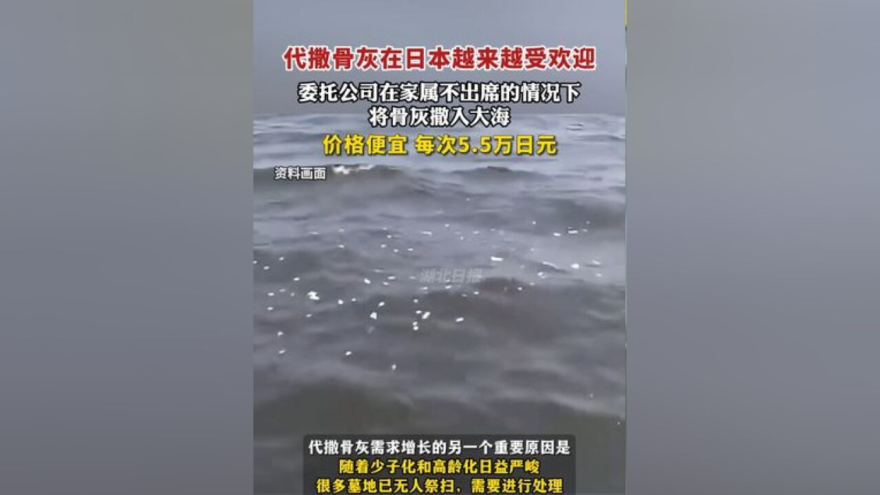 代撒骨灰在日本越来越受欢迎,委托公司在家属不出席的情况下将骨灰撒入大海,每次5.5万日元