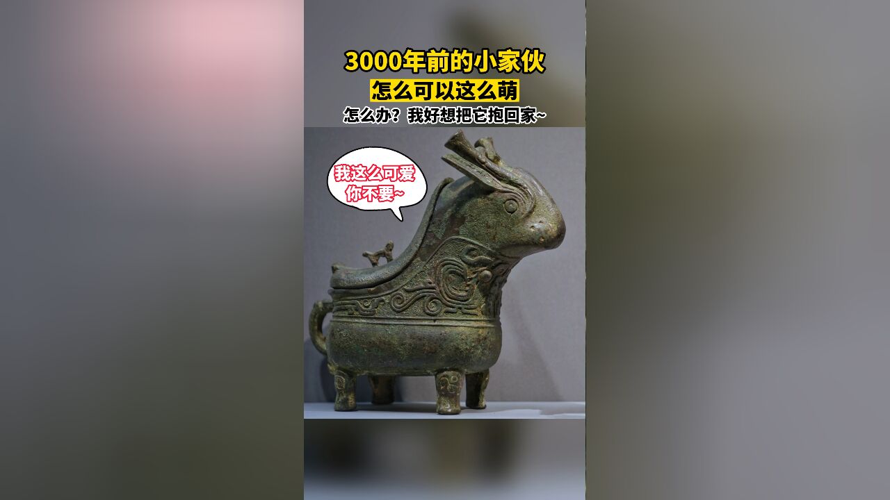 3000年前的小家伙,怎么可以这么萌?好想把它抱回家啊~