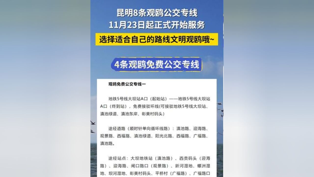 昆明8条观鸥公交专线11月23日起正式开始服务!欢迎广大市民选择适合自己的路线,文明观鸥