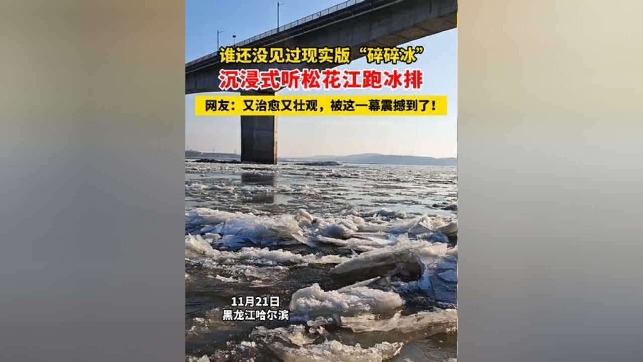 谁还没见过现实版“碎碎冰”沉浸式听松花江跑冰排