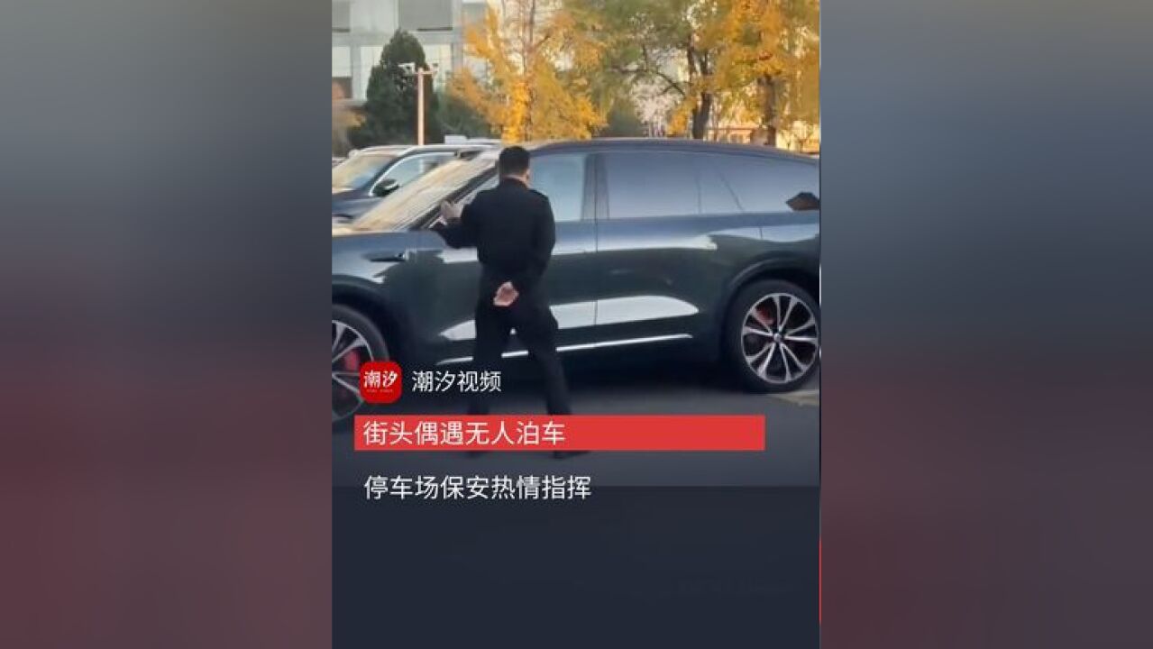 街头偶遇无人泊车,停车场保安热情指挥!汽车:主打一个听话!