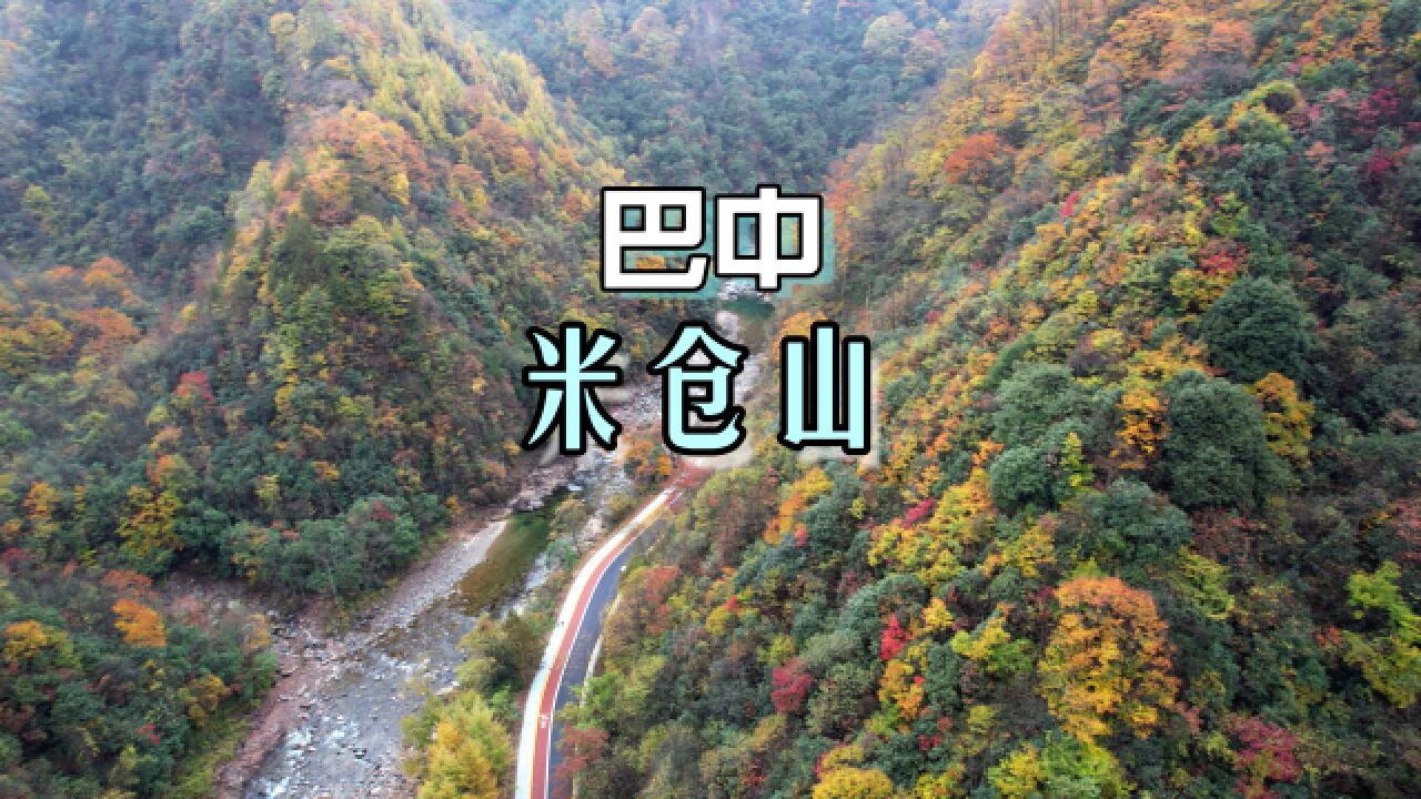 彩林红叶正当时,这里是巴中光雾山米仓山景区,与秋天来一次最浪漫的约会