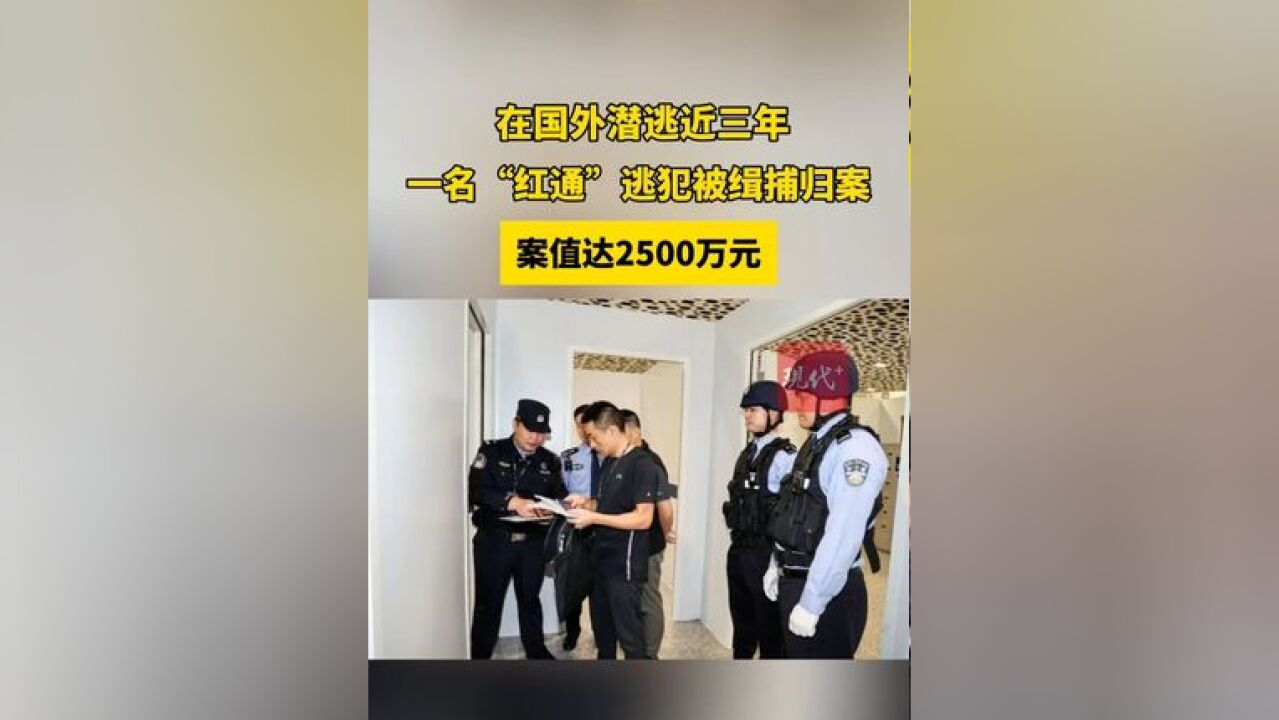 一名逃犯被缉捕归案,全案案值2500万元