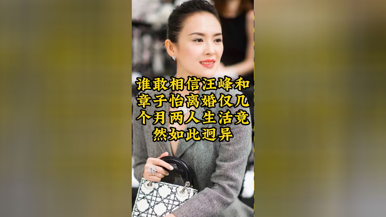 汪峰和章子怡离婚,仅几个月两人生活竟然如此迥异