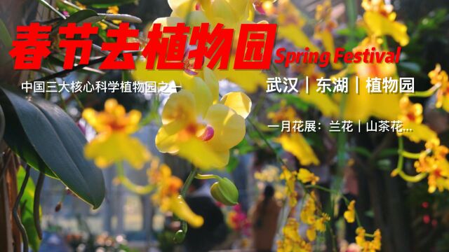 武汉植物园:中国三大核心科学植物园之一,赏花遛娃科普三不误