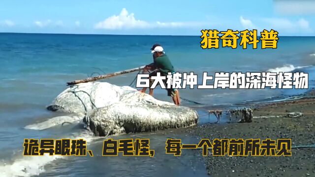 6大被冲上岸的深海怪物,诡异眼珠、白毛怪,每一个都前所未见