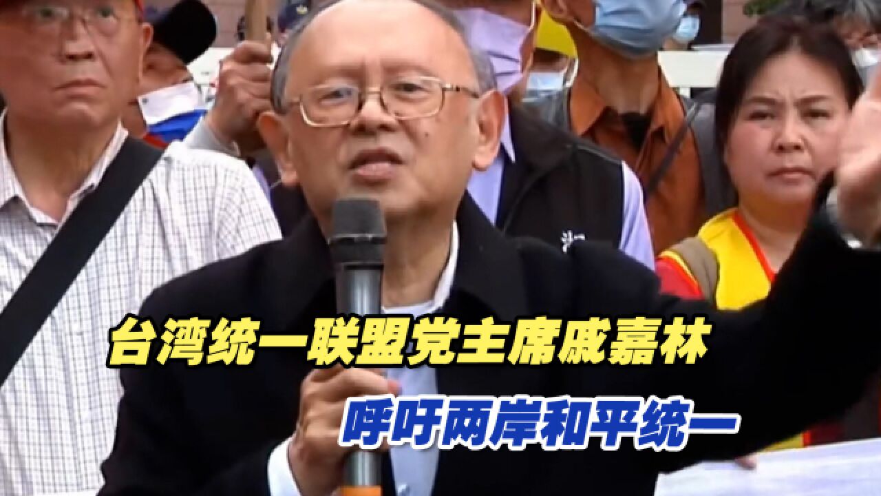 台湾统一联盟党主席戚嘉林:岛内民众要和平,呼吁两岸和平统一