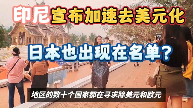 印尼宣布加速去美元化,日本也出现在名单?