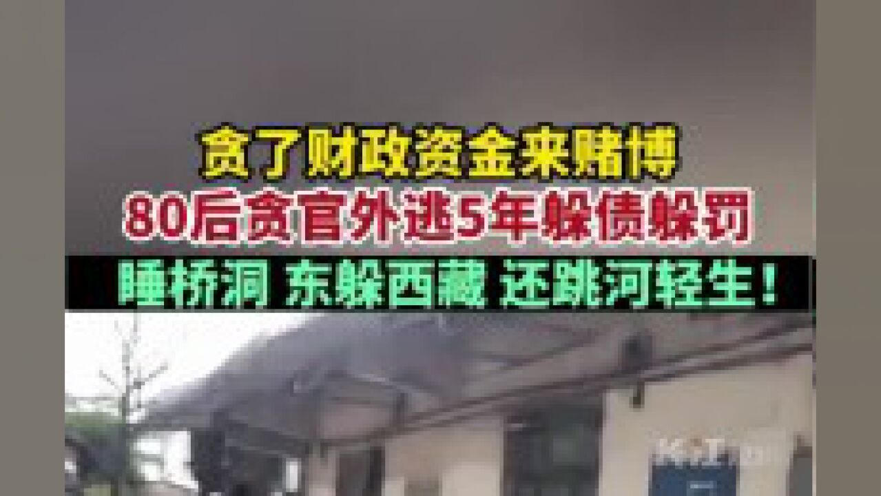 贪了财政资金来赌博!80后贪官外逃5年躲债躲罚活得像流浪汉.