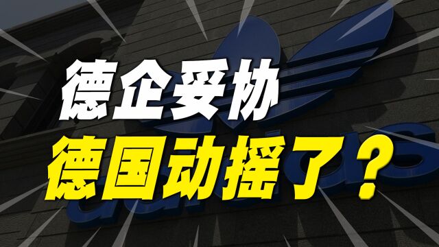 阿迪达斯业绩下滑,大力向中国市场妥协!德国也开始动摇了?