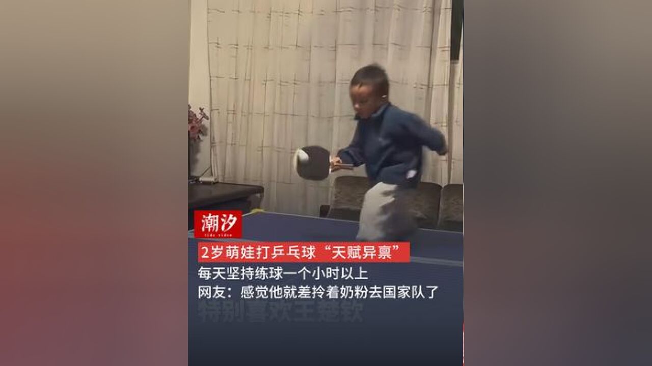 2岁萌娃打乒乓球“天赋异禀” 每天坚持练球一个小时以上 网友:感觉他就差拎着奶粉去国家队了