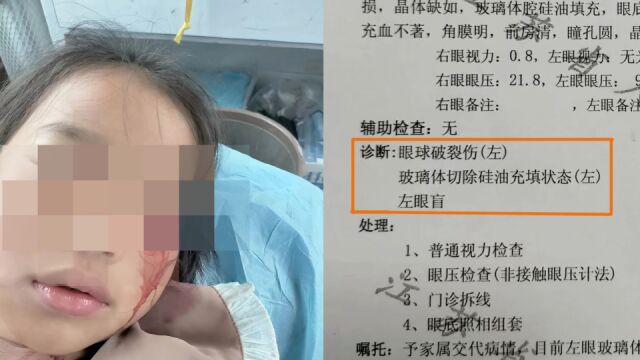 江苏8岁女孩被两男孩用钢珠打中致失明,家属:仍未收到道歉赔偿