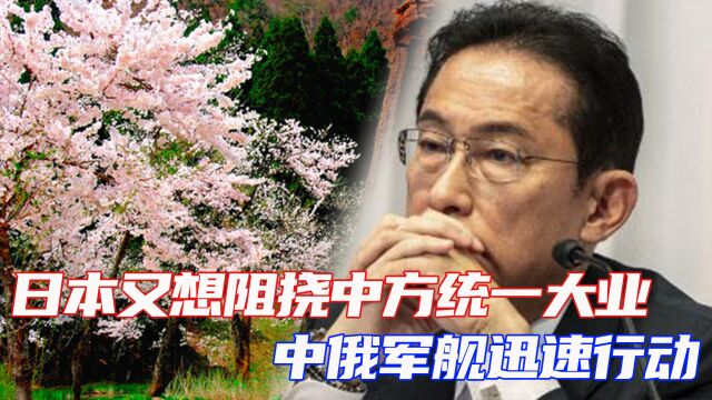 日本公布2023年版《防卫白皮书》,中俄军舰第三次联合海上巡逻