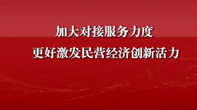 加大对接服务力度 更好激发民营经济创新活力