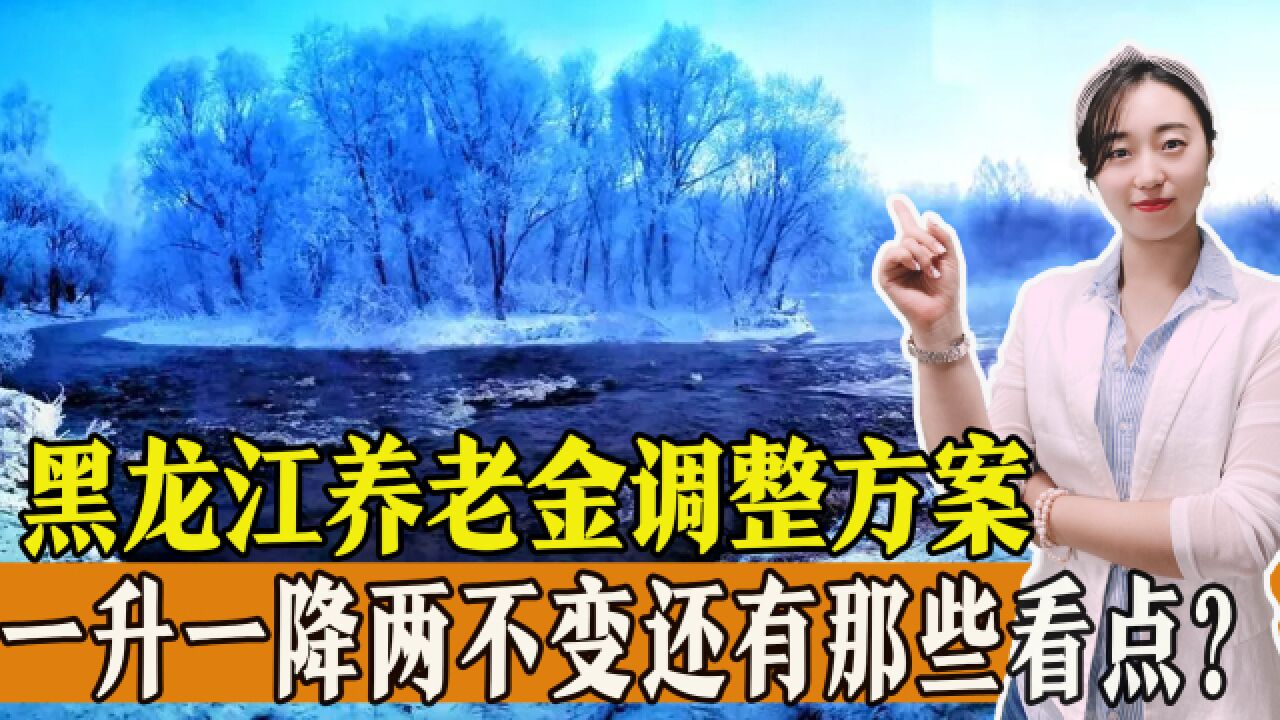 2023年黑龙江公布养老金调整方案,一升一降两不变,有哪些看点?