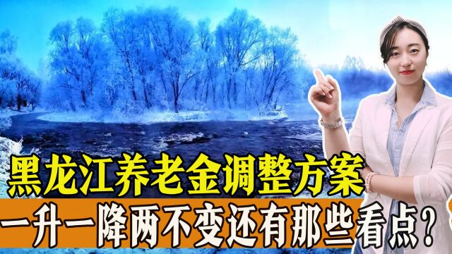 2023年黑龙江公布养老金调整方案,一升一降两不变,有哪些看点?