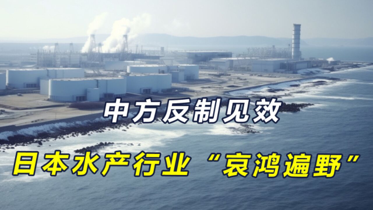 反制见效,日本水产行业“哀鸿遍野”,东电喊话:希望向中方解释