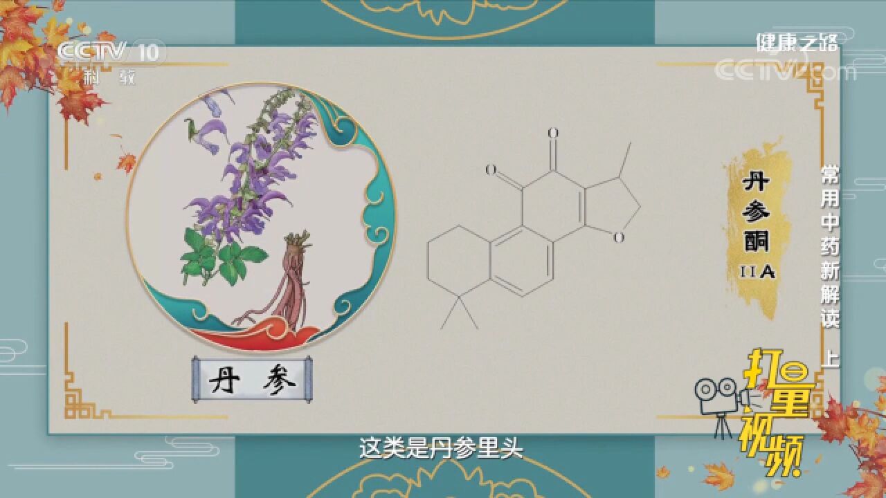 丹酚酸B进入体内会在肠道发生降解,最后以丹参素的形式发挥作用