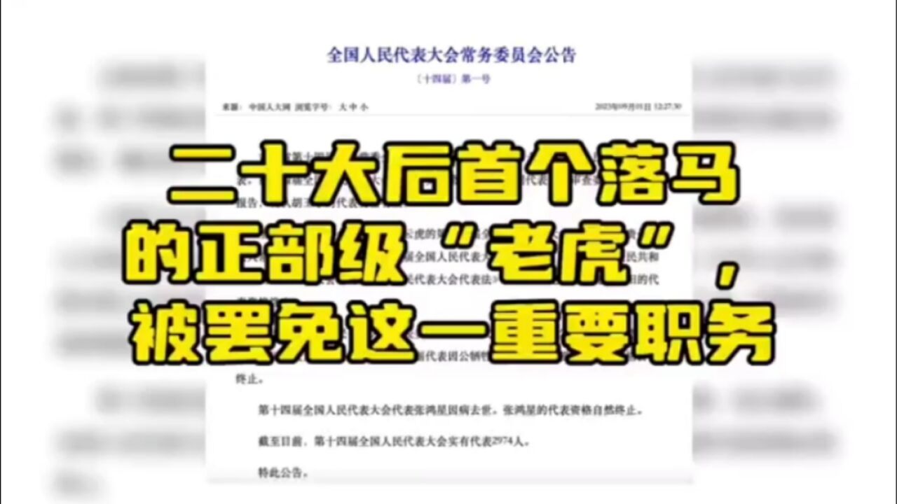 二十大后首个落马的正部级“老虎”,被罢免这一重要职务