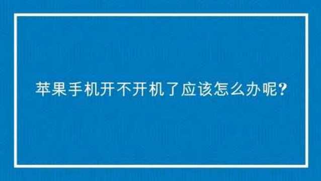 苹果手机开不开机了应该怎么办呢?