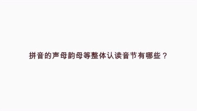 拼音的声母韵母等整体认读音节有哪些?