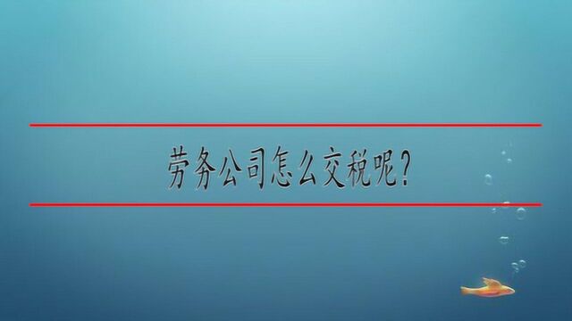 劳务公司怎么交税呢?