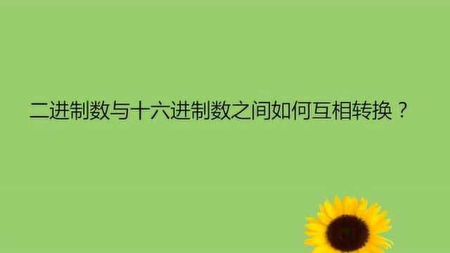 二进制数与十六进制数之间如何互相转换?