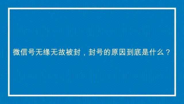 微信号无缘无故被封,封号的原因到底是什么?