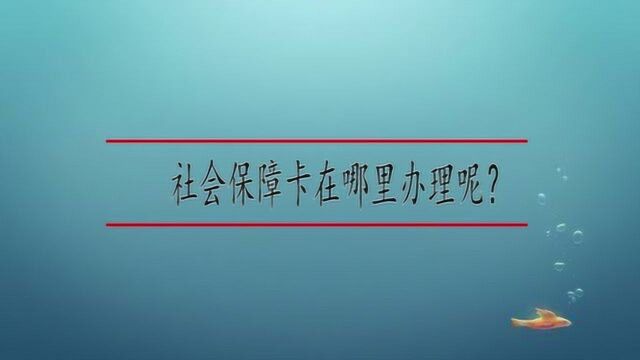 社会保障卡在哪里办理呢?