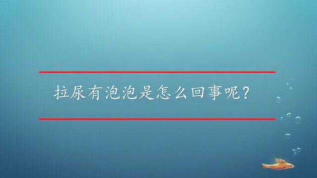 拉尿有泡泡是怎么回事呢?