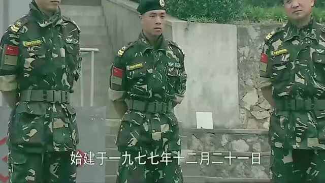 我是特种兵:狗头老高问,三角洲突击队是什么,鸵鸟说是电脑游戏