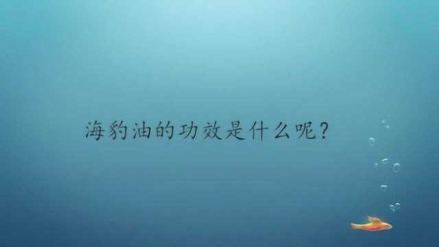 海豹油的功效是什么呢?