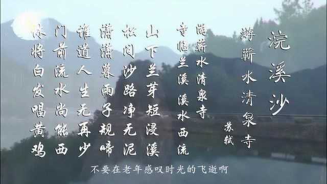 苏轼 浣溪沙ⷦ𘸨•𒦰𔦸…泉寺 门前流水尚能西 休将白发唱黄鸡