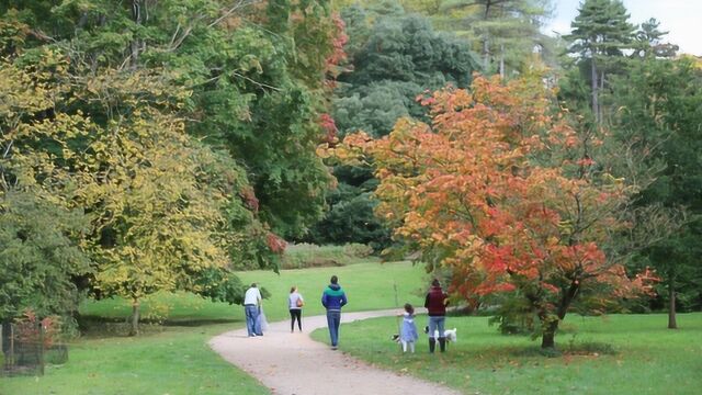 英国威斯顿比尔特国家植物园