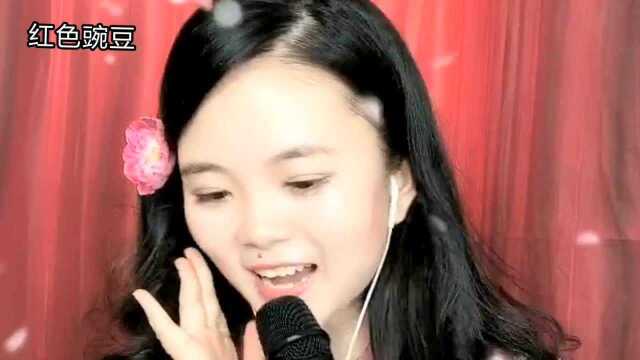 女歌手一首《山茶花》经典歌曲,歌声优美动听,陶醉了!