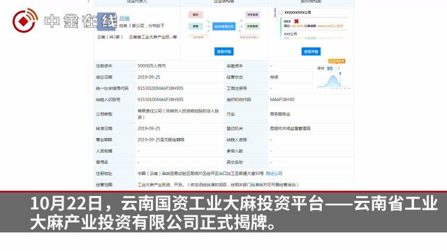 云南国资工业大麻投资平台成立